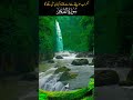 Surah Fajr #quran #translation #viral #shortvideo #dua #translation #nature #birds #funny #comedy