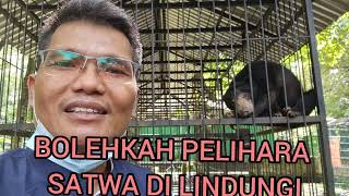 BOLEHKAH PELIHARA SATWA DILINDUNGI?