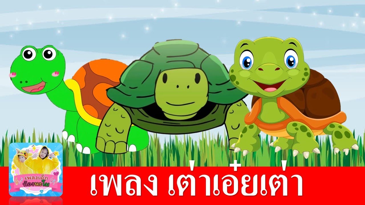 เพลงเต่าเอ๋ยเต่า เต่ามันมี 4 ขา | เต่าการ์ตูน 3 เวอร์ชั่น น่ารัก ฟังเพลิน | สื่อการเรียนรู้เด็กเล็ก