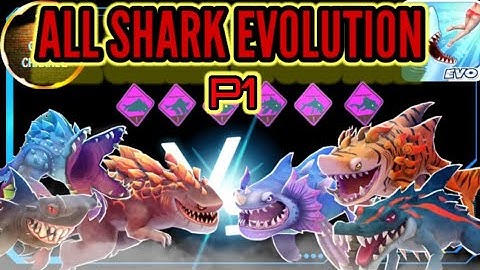 Tổng hợp các cá mập tiến hóa (p1) - Hungry Shark Evolution