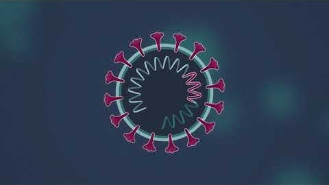 How do DNA Vaccines work?