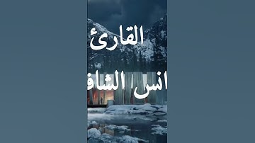 لن تستطيع تملك دموعك من جمال صوته!!😢😭 تلاوة تنسيك هموم الدنيا😴🎈 || القارئ انس الشافعي