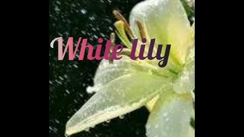 Class 1: English Chapter 4: module 1