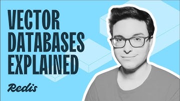 What is a vector database?