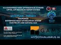 MODPLAN – PERSEO. HAI/POWER: Enterprise-Wide Optimization System Electricity and Natural Gas