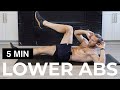 5 MIN LOWER AB WORKOUT | LOWER ABS WORKOUT