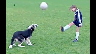 Une chienne footballeuse (2008)