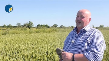 Project Lamport overview 2019