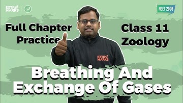 Breathing and Exchange of Gases Class 12 | NEET 2026 ke Top PYQs & Concept Practice