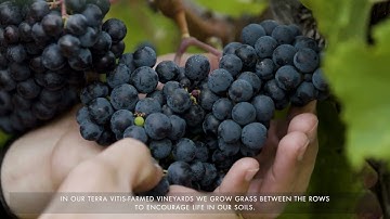 Terra Vitis pratiques vertueuses Farming ENG 2021