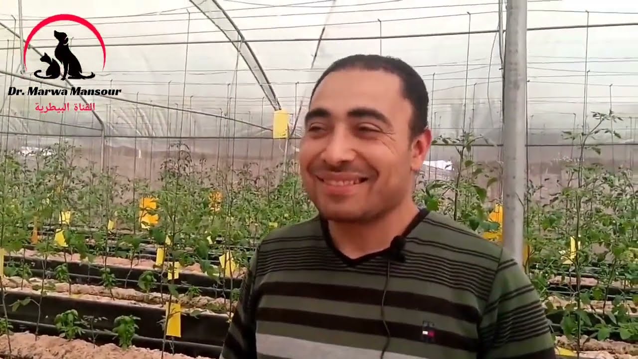 مشروع ممتااااز 🤩💥.. دراسةجدوي .. المهندس ربيع جمعه