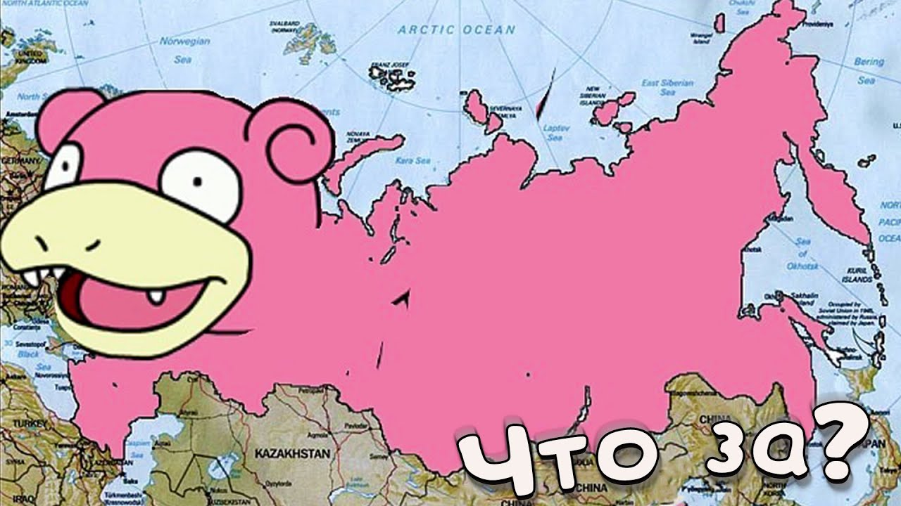 Кот играет с австралией Кот играет с австралией