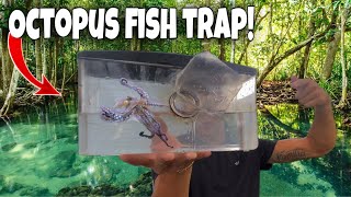 FISH TRAP Catches EXOTIC OCTOPUS For My AQUAIRUM!!