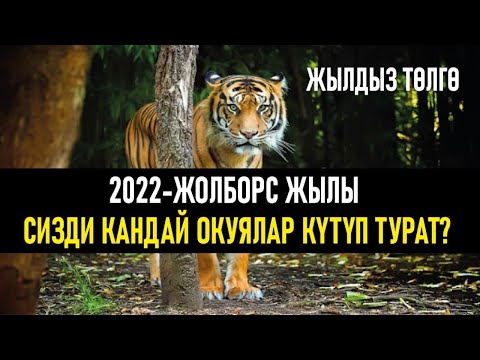 Video: 7 жашар балага 2022-Жаңы жылга эмне арзан бериш керек