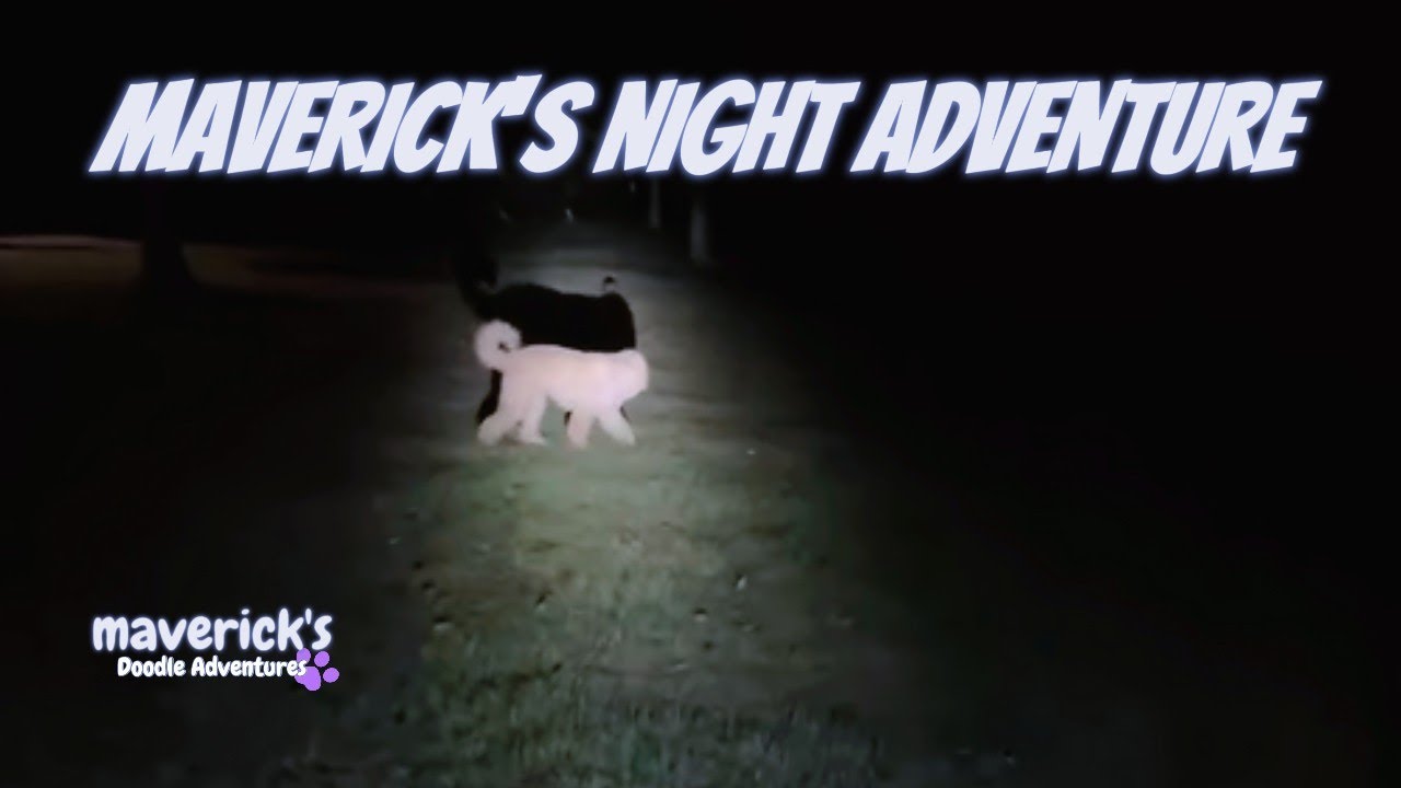 Maverick’s Night Adventure