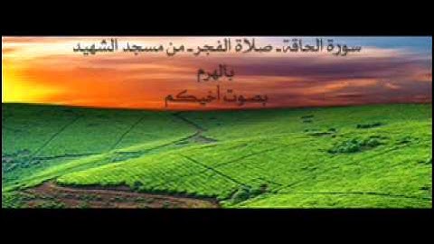 سورة الحاقة بصوت القارئ طارق يوسف عرفة