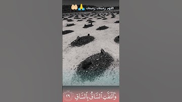 كَلَّا إِذَا بَلَغَتِ التَّرَاقِيَ {} وَقِيلَ مَنْ ۜ رَاقٍ {} #قرآن #آية #تلاوة_هادئة #اللهم_رحمتك