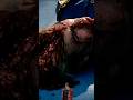 Butcher’s team finally defeat The Homelander