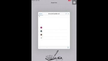 Google Drive Access request