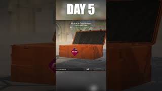 CSGO NEW OPERATION CASE OPENING DAY 5 #raingg #csgo #caseopening #csgoupdate #newcase #csgocases