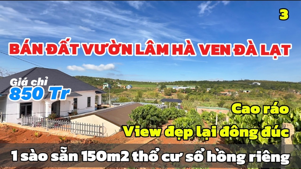 Bán Đất Vườn Lâm Hà Hơn 1 Sào 🌿 Có Sẵn 150m Thổ Cư | Ngay Trung Tâm Xã Phát Triển