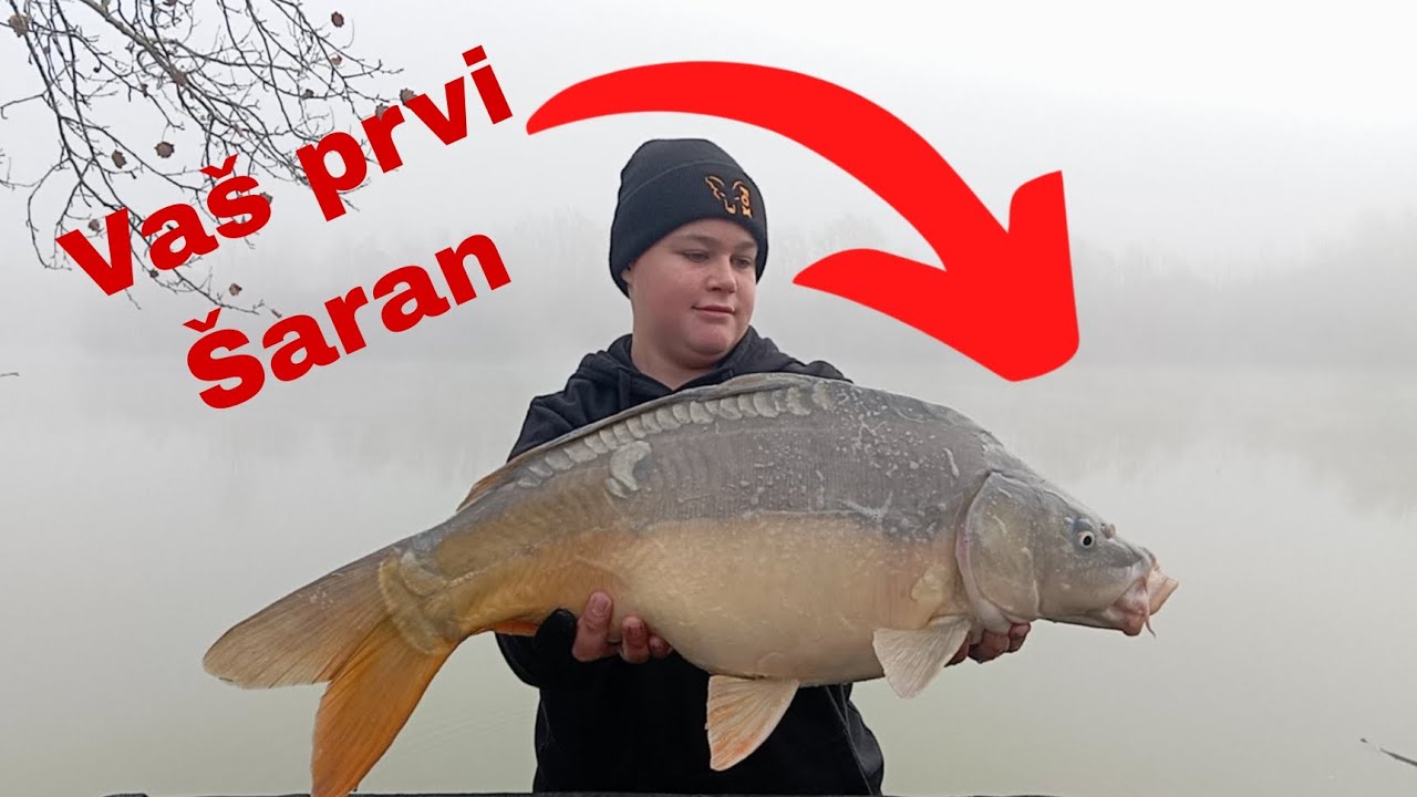 Korak po korak kako upecati šarana [ Ciglarska graba Sisak ] 