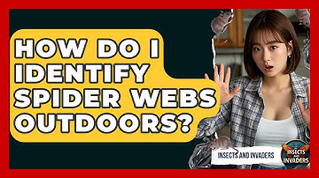 How Do I Identify Spider Webs Outdoors? - Insects and Invaders