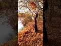 АЙНА ИСАЕВА «КТО ЗНАЕТ...»🍂🍁