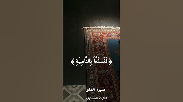 القران الكريم #quran #فلسطين #غزة #العراق #اليمن #راحة_نفسية #اكسبلور #القرآن #القرآن #الحمدلله #
