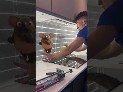 Une feuille translucide🤯 #renovation #decoration #bricolage #diy  #cuisine #maison #transformation