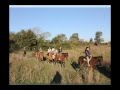 LAS LAGUNAS PASO DE LA PATRIA.avi