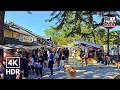 Japan Walk – The Famous Deer Park Everyone Visits in Nara | Walking Tour | 4K HDR