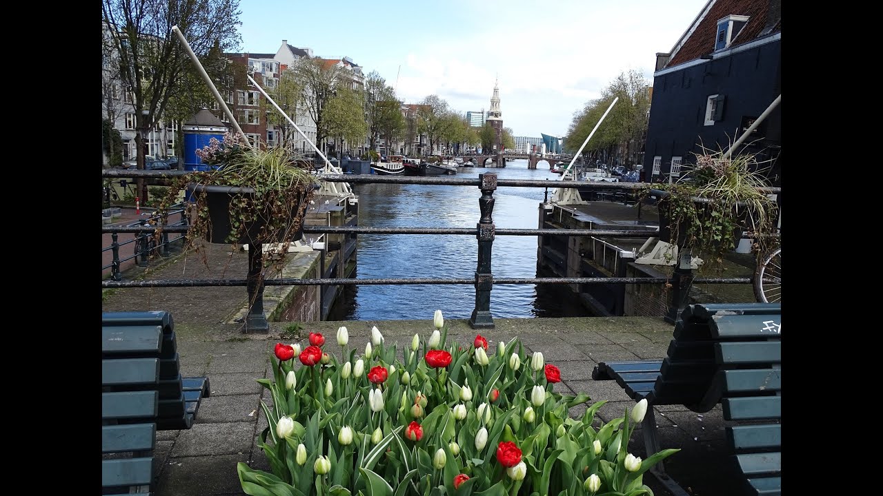 Tulpen uit Amsterdam - Herman Emmink / Tulp Festival 2021 deel 3