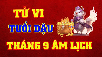 Tử Vi Tháng 9 Âm Lịch Tuổi Dậu - Vận Trình Tài Lộc Có Gì Khỏi Sắc?