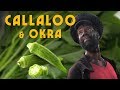 Rasta Mokko's Steamed Callaloo & Okra