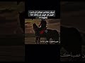 اجمل ما قيل عن الجهاد في سبيل الله اجمل ما قيل عن الجهاد في سبيل الله