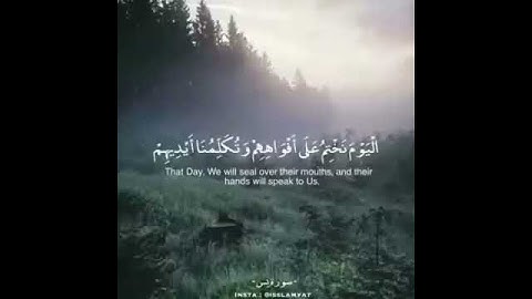 سبحان من رزقه هذا الصوت، تلاوة رائعة من سورة يس