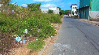 Address neighborhood hazards by clearing sidewalks of grass and trash