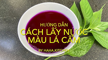 LÁ CẨM | Cách Lấy Màu Tím Từ Lá Cẩm Để Nấu Xôi Làm Bánh