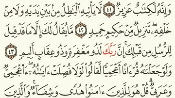 ماتيسر من سورة فصلت 40 - 46للقارئ / سعد ضاحي الرويلي