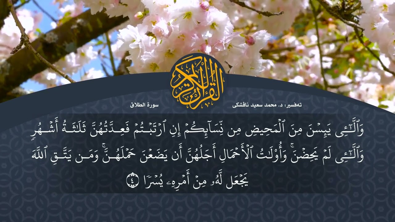 تەفسیرا قورئانا پیروز (د. محمد سعید) سورة الطلاق