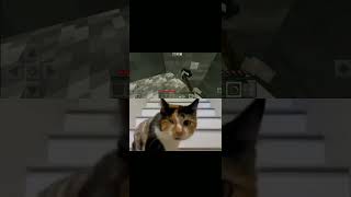 Chipi Chipi Minecraft Jetnik Uz