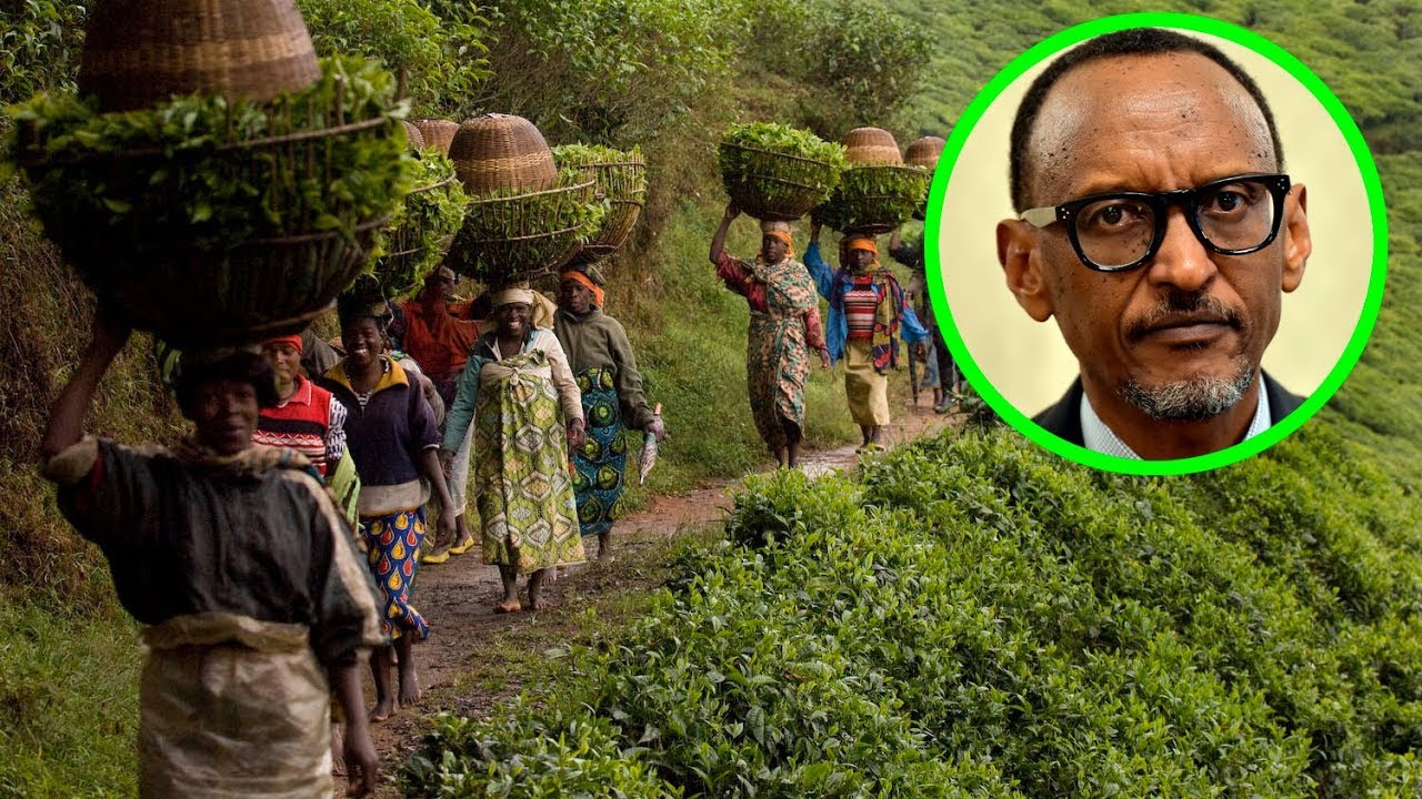 Dore ibibazo bikomereye u Rwanda mutazi: Aho ibyo kurya biva - YouTube