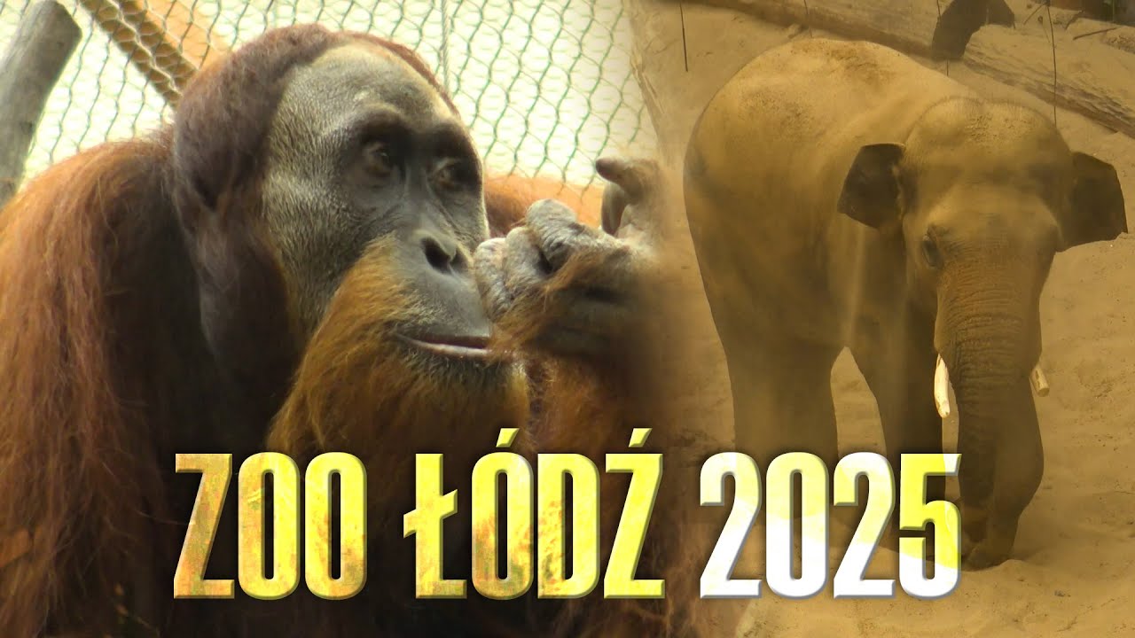 Łódź #4 | Ogród Zoologiczny | Maj 2025