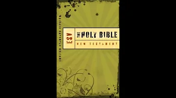 The Book Of Job - ESV