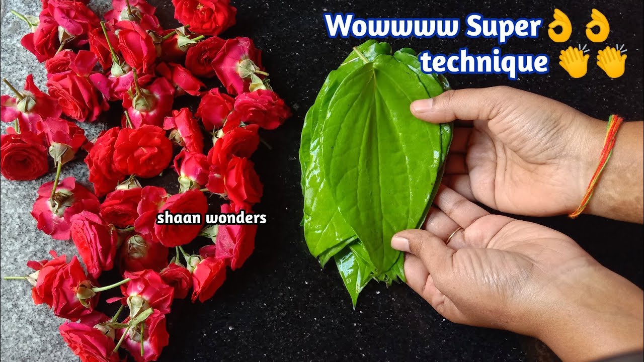 Amazing small red rose flower and betel leaves garland making at home for god/rose flower garland