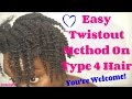 Twist Out Hairstyles