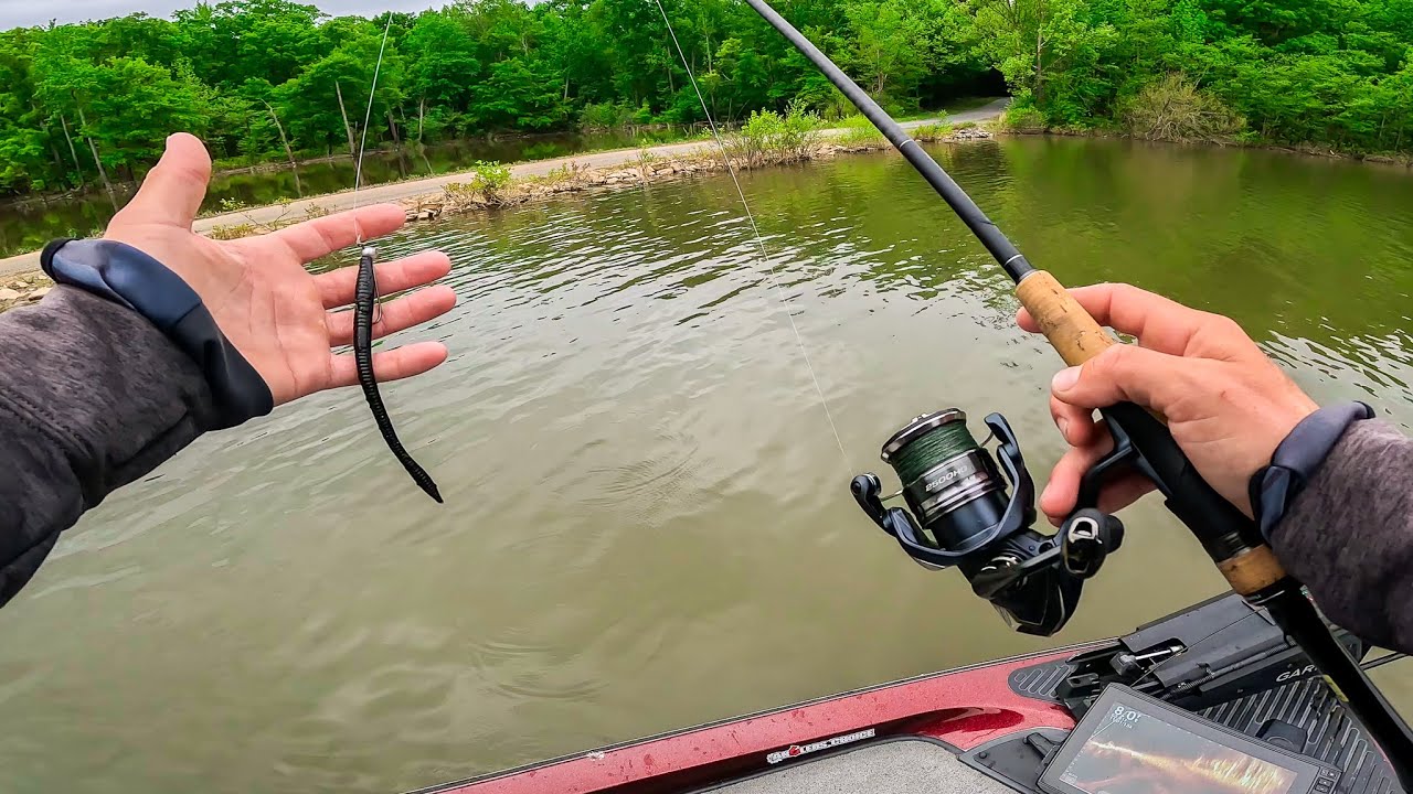 @SBFishing Late Spring Bass Fishing Buggs Island BFL!