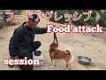 フードアグレッシブ個人セッションDog Rescue A&R