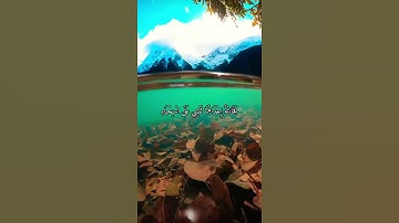 واتس اب قران كريم القارئ ياسر الدوسري (سوره القصص)